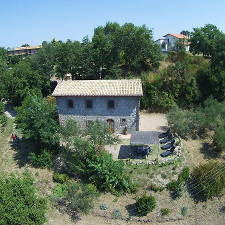 Fattoria Capobianco Villa Montefiascone Kültér fotó