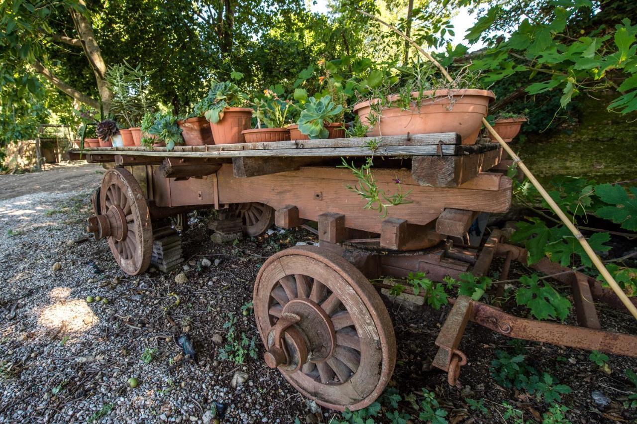 Fattoria Capobianco Villa Montefiascone Kültér fotó